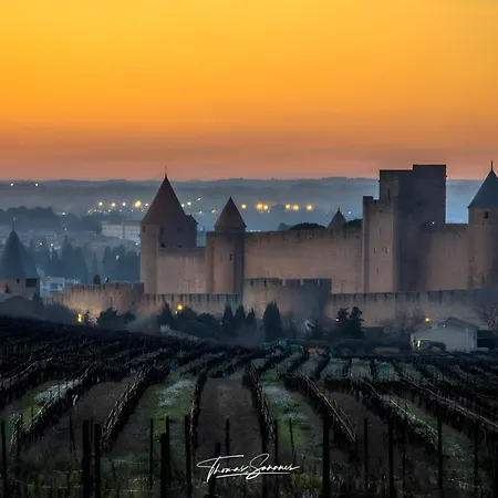 Maison Vigneronne-piscine Et Vignes *