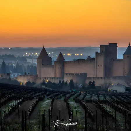 Maison Vigneronne-piscine Et Vignes *