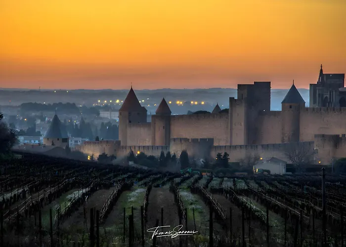 Maison Vigneronne-piscine Et Vignes *